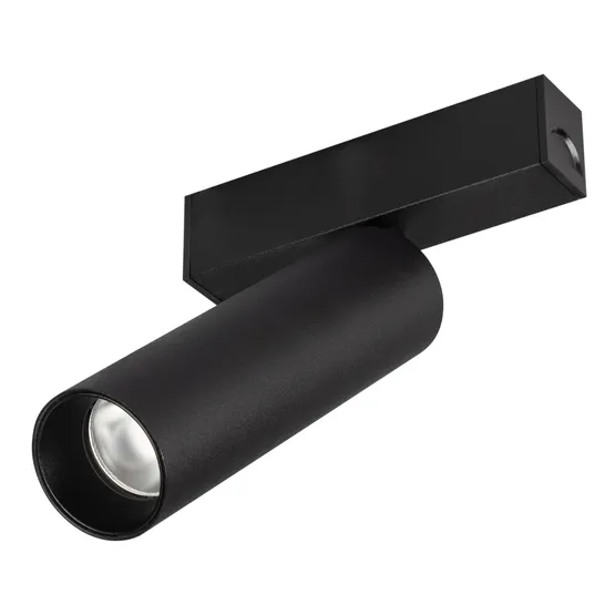 Фото #1 товара Светильник MAG-SPOT-25-R120-12W Day4000 (BK, 30 deg, 24V) (Arlight, IP20 Металл, 5 лет)
