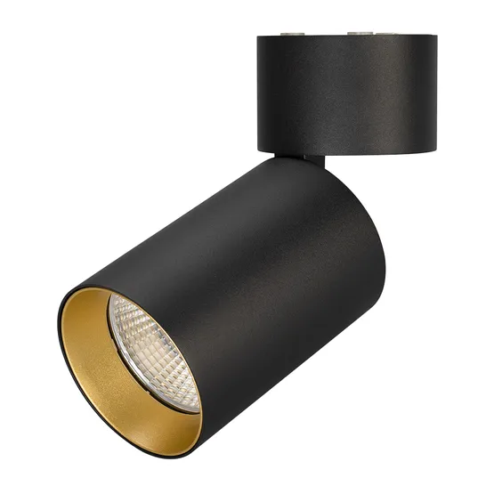 Фото #1 товара Светильник SP-POLO-SURFACE-FLAP-R85-15W Warm3000 (BK-GD, 40 deg) (Arlight, IP20 Металл, 3 года)