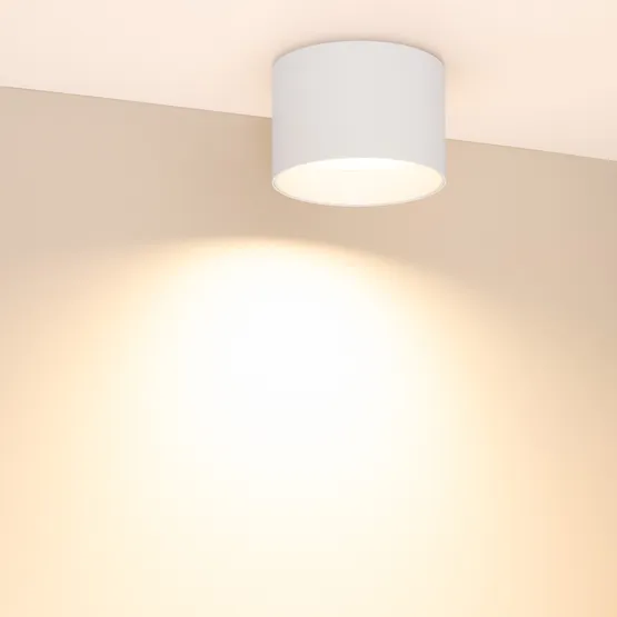 Фото #2 товара Светильник SP-BISCOTTO-R120-12W Warm3300-MIX (WH, 80 deg, 230V) (Arlight, IP54 Металл, 5 лет)