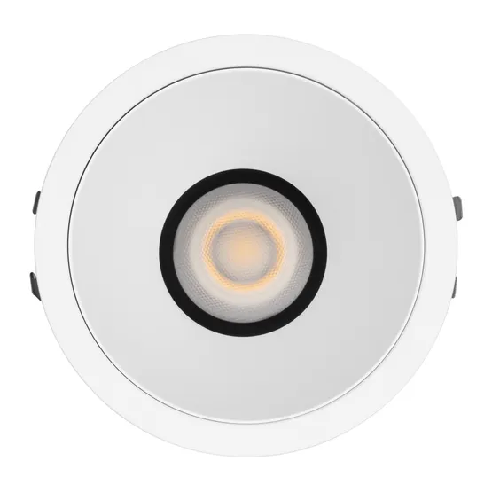 Фото #4 товара Светильник MS-ARADO-BUILT-R75-12W Warm2700 (WH-WH, 24 deg, 230V) (Arlight, IP20 Металл, 5 лет)