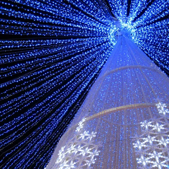 Фото #5 товара Светодиодная гирлянда ARD-STRING-CLASSIC-10000-WHITE-100LED-FLASH BLUE (230V, 7W) (Ardecoled, IP65)