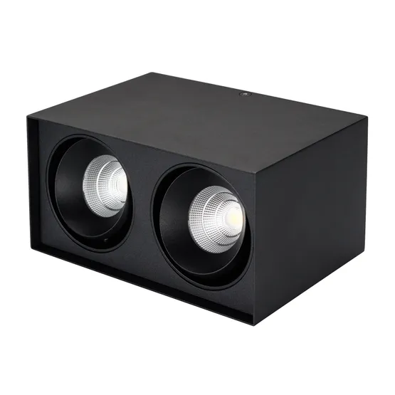 Фото #2 товара Светильник SP-CUBUS-S100x200BK-2x11W Day White 40deg (Arlight, IP20 Металл, 3 года)