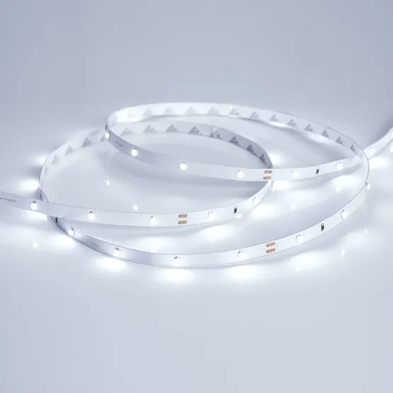 Фото #3 товара Светодиодная лента RT 2-5000 24V Cool 8K 0.5x (3528, 150 LED, LUX) (Arlight, 2.9 Вт/м, IP20)