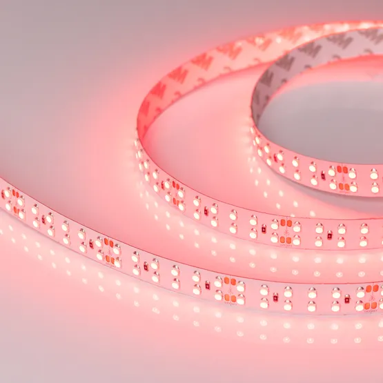 Фото #2 товара Светодиодная лента RT 2-5000 24V Red 2x2 (3528, 1200 LED, LUX) (Arlight, 19.2 Вт/м, IP20)