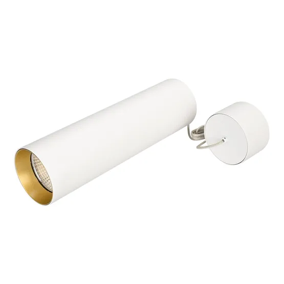 Фото #1 товара Светильник SP-POLO-HANG-LONG300-R85-15W White5000 (WH-GD, 40 deg) (Arlight, IP20 Металл, 3 года)