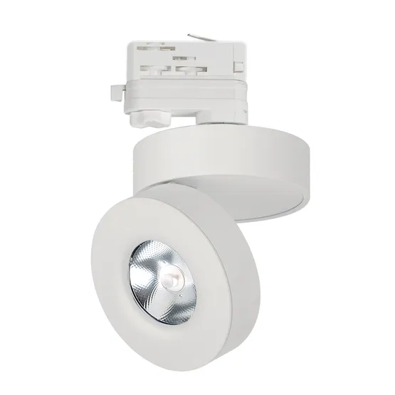 Фото товара Светильник LGD-MONA-TRACK-4TR-R100-12W White5000 (WH, 24 deg) (Arlight, IP40 Металл, 3 года)