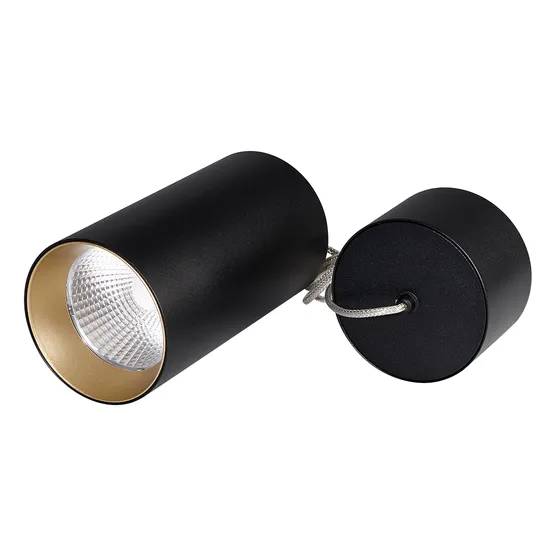 Фото #1 товара Светильник SP-POLO-HANG-R85-15W White5000 (BK-GD, 40 deg) (Arlight, IP20 Металл, 3 года)