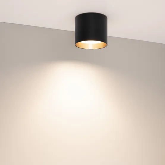 Фото #4 товара Светильник SP-BISCOTTO-R90-8W Warm3300-MIX (BK-GD, 80 deg, 230V) (Arlight, IP54 Металл, 5 лет)