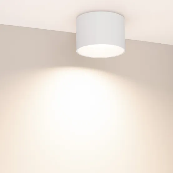 Фото #4 товара Светильник SP-BISCOTTO-R120-12W Warm3300-MIX (WH, 80 deg, 230V) (Arlight, IP54 Металл, 5 лет)
