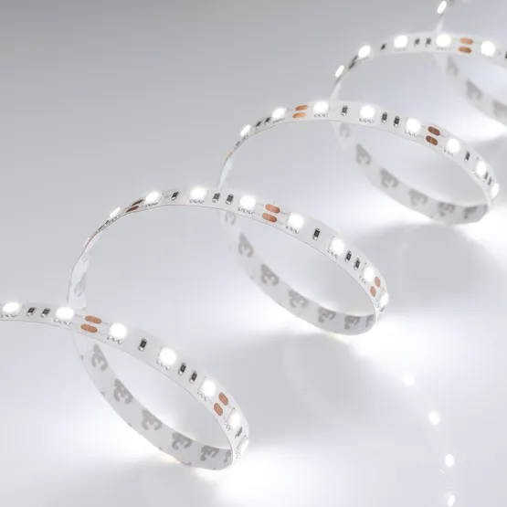 Фото #4 товара Светодиодная лента RT 2-5000 12V White6000 2x (5060, 300 LED, LUX) (Arlight, 14.4 Вт/м, IP20)