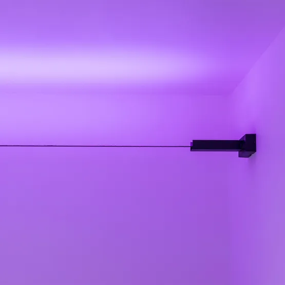 Фото #6 товара Лента-трос STINGRAY-RT-B30-10mm 24V RGB (7.2 W/m, IP20, 5060, 5m) (Arlight, -)