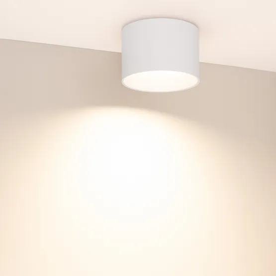 Фото #3 товара Светильник SP-BISCOTTO-R120-12W Warm3300-MIX (WH, 80 deg, 230V) (Arlight, IP54 Металл, 5 лет)