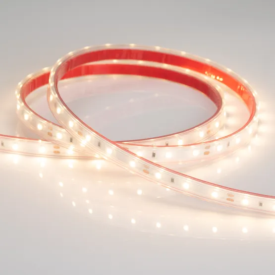 Фото #2 товара Светодиодная лента RTW 2-5000PS 12V Warm3000 (3528, 300 LED, LUX) (Arlight, 4.8 Вт/м, IP67)
