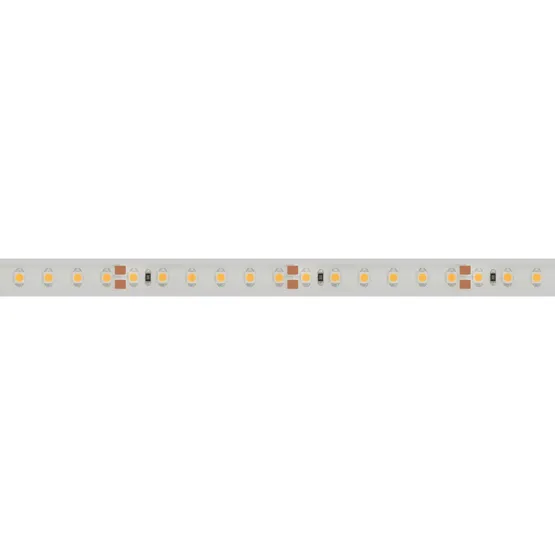 Фото #4 товара Светодиодная лента RTW 2-5000PS 24V White6000 2x (3528, 600 LED, LUX) (Arlight, 9.6 Вт/м, IP67)