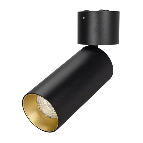 Фото #1 товара Светильник SP-POLO-SURFACE-FLAP-R65-8W Warm3000 (BK-GD, 40 deg) (Arlight, IP20 Металл, 3 года)