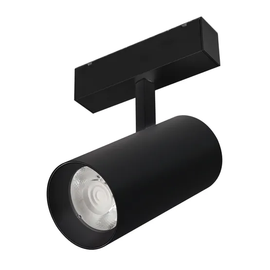 Фото #1 товара Светильник MAG-SPOT-45-R85-25W Warm3000 (BK, 36 deg, 24V) (Arlight, IP20 Металл, 3 года)