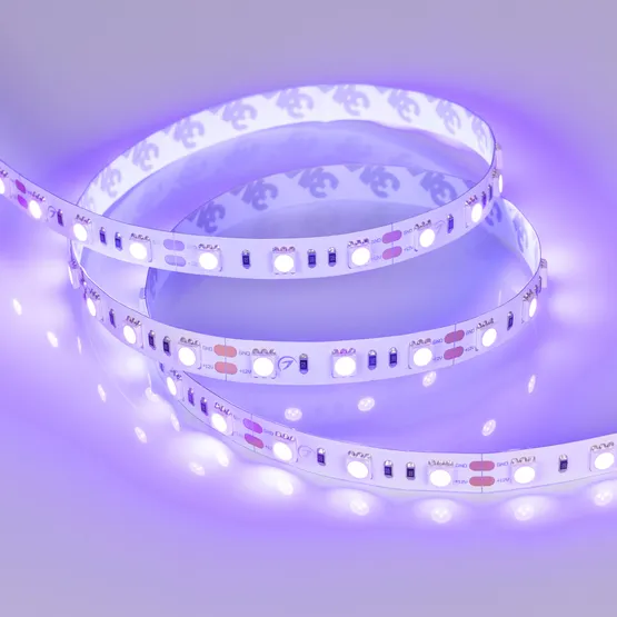 Фото #2 товара Светодиодная лента RT 2-5000 12V UV400 2x (5050, 300 LED, LUX) (Arlight, 14.4 Вт/м, IP20)