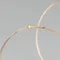 Минифото #3 товара Светодиодная гирлянда ARD-DEW-HOME-10000-100LED-LIVE Warm3000 (5V, USB, ПДУ) (Ardecoled, IP20)