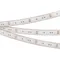 Минифото #1 товара Светодиодная лента герметичная RTW-PGS-B60-13mm 12V Yellow (14.4 W/m, IP67, 5060, 5m) (Arlight, -)