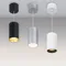 Минифото #4 товара Светильник подвесной SP-POLO-R85-2-15W Day White 40deg (Silver, White Ring) (Arlight, IP20 Металл, 3 года)
