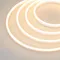 Минифото #1 товара Гибкий неон GALAXY-1206-5000CFS-2835-100 12V Warm (12x6mm, 12W, IP67) (Arlight, 12 Вт/м, IP67)