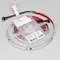 Минифото #2 товара Светодиодная лента SPI-BA120-12mm 24V RGBW-Day-PX6-BPT (16 W/m, IP20, 5060/2835, 5m) (Arlight, бегущий огонь)