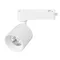 Минифото #1 товара Светильник LGD-DYKE-2TR-R75-16W Day4000 (WH, 38 deg, 230V) (Arlight, IP20 Металл, 5 лет)