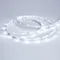 Минифото #3 товара Светодиодная лента RT 2-5000 24V Cool 8K 0.5x (3528, 150 LED, LUX) (Arlight, 2.9 Вт/м, IP20)