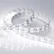 Минифото #4 товара Светодиодная лента RT 2-5000 24V White6000 2x2 (5060, 600 LED, LUX) (Arlight, 28.8 Вт/м, IP20)