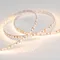 Минифото #2 товара Светодиодная лента RT 2-5000 12V Warm2700 2x (3528, 600 LED, LUX) (Arlight, 9.6 Вт/м, IP20)