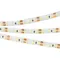 Минифото #2 товара Светодиодная лента герметичная RTW-SE-A120-8mm 12V White6000 (9.6 W/m, IP65, 2835, 5m) (Arlight, -)