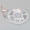 Минифото #2 товара Светодиодная лента NT-A60-8mm 24V White6000 (4.8 W/m, IP20, 3528, 5m) (Arlight, Открытый)