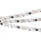 Минифото #1 товара Светодиодная лента SPI-5000SE-5060-60 12V Cx3 RGB (10mm, 14.4W/m, IP65) (Arlight, Закрытый, IP65)