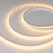 Минифото #1 товара Светодиодная лента COB-X544-8mm 24V Warm2700 (11 W/m, IP20, 5m, FreeCut) (Arlight, Свободная резка)