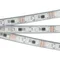Минифото #1 товара Светодиодная лента SPI-5000P-5060-60 12V Cx3 RGB-Auto (12mm, 13.2W/m, IP66) (Arlight, Закрытый, IP66)
