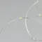 Минифото #3 товара Светодиодная гирлянда ARD-DEW-HOME-2000-CLEAR-20LED-STD Warm3000 (3V, Battery Pack) (Ardecoled, IP20)
