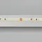 Минифото #2 товара Светодиодная лента MICROLED-M240-4.5mm 24V White-CDW (9.6 W/m, IP20, 2216, 5m) (Arlight, узкая)