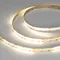 Минифото #1 товара Светодиодная лента SPI-COB-X378-12mm 24V Day4000-PX21-BPT (8 W/m, IP20, 5m) (Arlight, бегущий огонь)