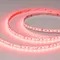 Минифото #5 товара Светодиодная лента RT-A168-10mm 24V RGBW-Day (20 W/m, IP20, 5m) (Arlight, высок.эфф.150 лм/Вт)