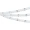 Минифото #5 товара Светодиодная лента CSP-X840-12mm 24V RGBW-MIX (16 W/m, IP20, 5m) (Arlight, RGB-CCT, RGB-MIX, RGB-White MIX)