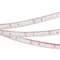 Минифото #1 товара Светодиодная лента герметичная RTW-PFS-A60-11mm 12V Blue (4.8 W/m, IP68, 2835, 5m) (Arlight, -)