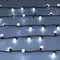 Минифото #2 товара Светодиодная гирлянда ARD-BALL-CLASSIC-D17.5-20000-BLACK-200LED WHITE (230V, 14W) (Ardecoled, IP65)