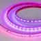 Минифото #1 товара Светодиодная лента герметичная SPI-PS-B60-12mm 24V RGB-PX6-BPT (12 W/m, IP67, 5060, 5m) (Arlight, бегущий огонь)