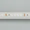 Минифото #2 товара Светодиодная лента RT 2-5000 24V Pink 2x (3528, 600 LED, LUX) (Arlight, 9.6 Вт/м, IP20)