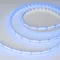 Минифото #5 товара Светодиодная лента CSP-X840-12mm 24V RGBW-Day (17.2 W/m, IP20, 5m)  (Arlight, 5 лет)