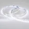 Минифото #2 товара Светодиодная лента RT6-3528-180 24V White6000 3x (900 LED) (Arlight, 14.4 Вт/м, IP20)