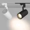 Минифото #2 товара Светильник LGD-ZEUS-4TR-R100-30W White (WH, 20-60 deg) (Arlight, IP20 Металл, 3 года)
