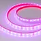 Минифото #5 товара Светодиодная лента герметичная RTW-PFS-B60-13mm 12V RGB (14.4 W/m, IP68, 5060, 5m) (Arlight, -)
