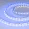 Минифото #2 товара Светодиодная лента RT-B60-10mm 24V Blue (14.4 W/m, IP20, 5060, 5m) (Arlight, Открытый)