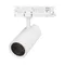 Минифото #3 товара Светильник LGD-GERA-4TR-R74-20W Day4000 (WH, 24 deg, 230V) (Arlight, IP20 Металл, 5 лет)